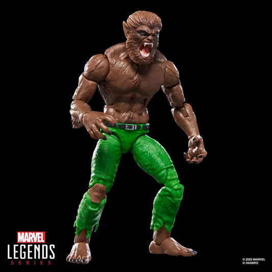 Marvel Legends Action figurine Werewolf by Night (BAF: Executioner) 15 cm - Image 1