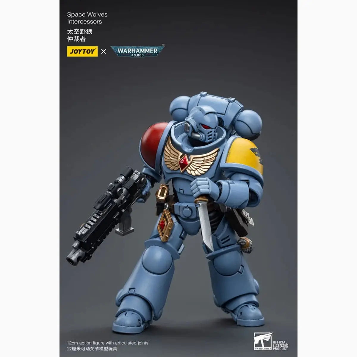 Warhammer 40k figurine 1/18 Space Wolves Intercessors 12 cm - Image 7