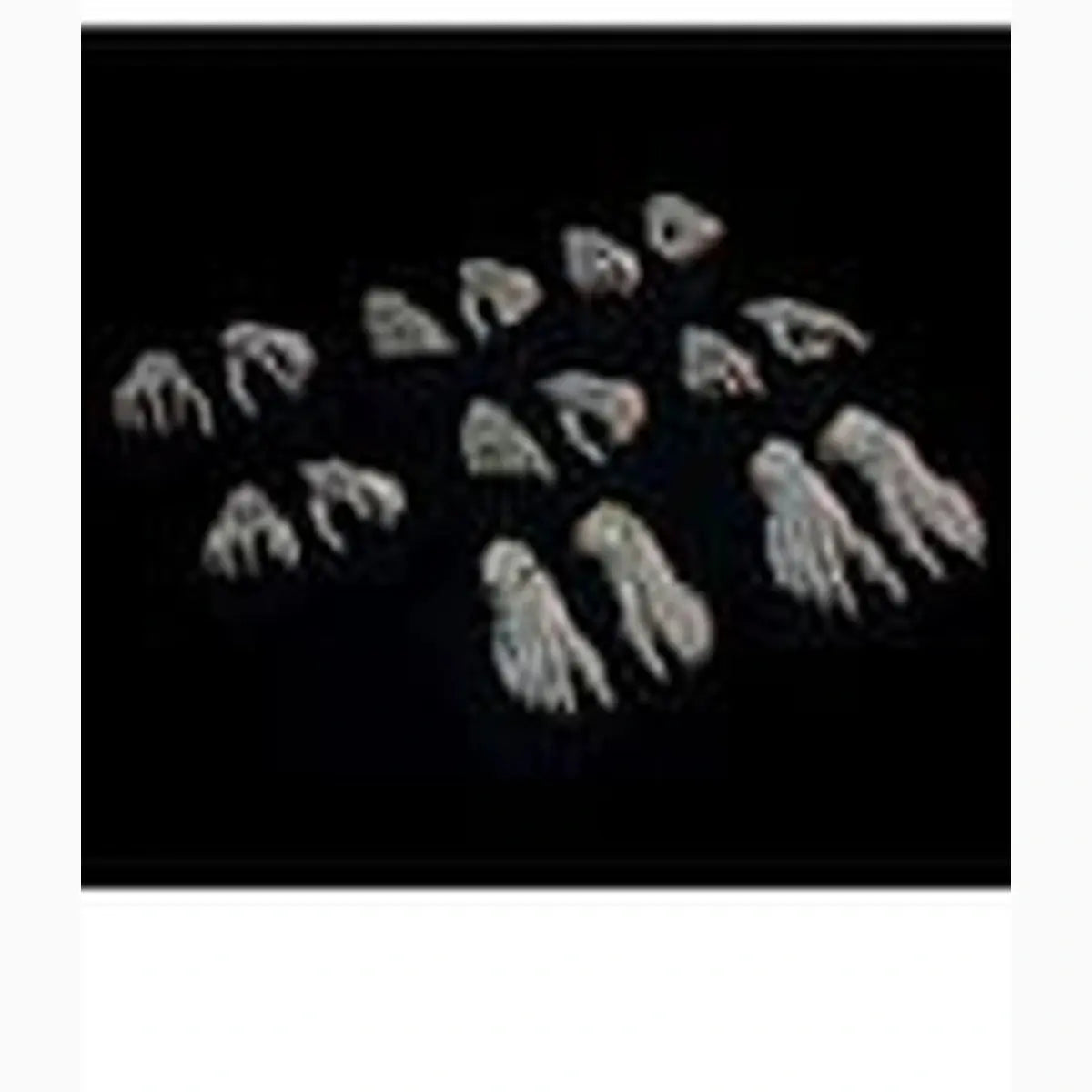 Mythic Legions: Necronominus accessoires pour figurines Skeletons of Necronominus Hands/Feet Pack - Image 2