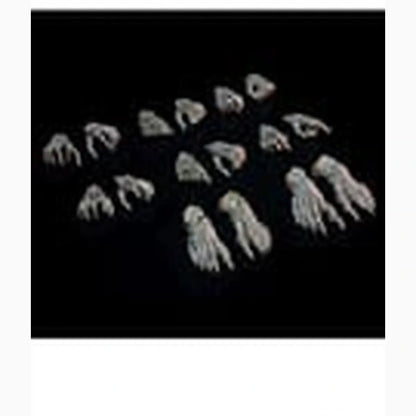 Mythic Legions: Necronominus accessoires pour figurines Skeletons of Necronominus Hands/Feet Pack - Image 2