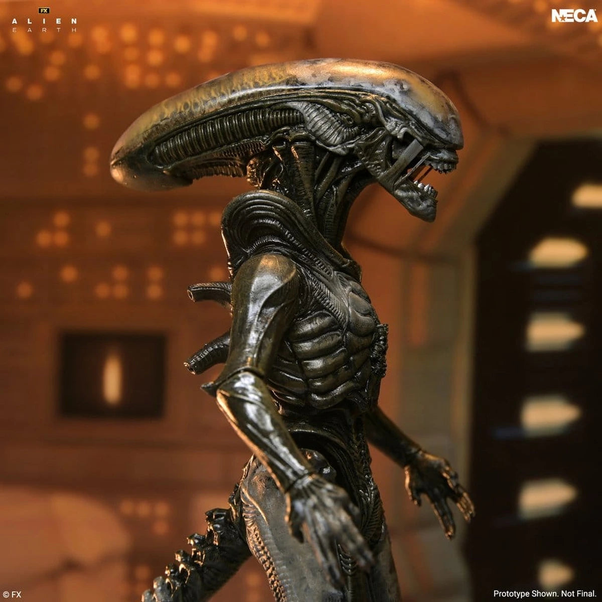 Alien: Earth Ultimate figurine Wendy's Xenomorph 18 cm - Image 5
