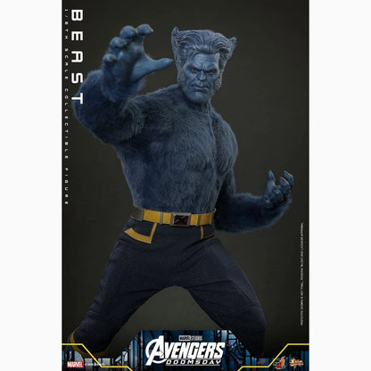 Marvel X-Men Movie Masterpiece figurine 1/6 Beast (Collector Edition) 33 cm - Image 5