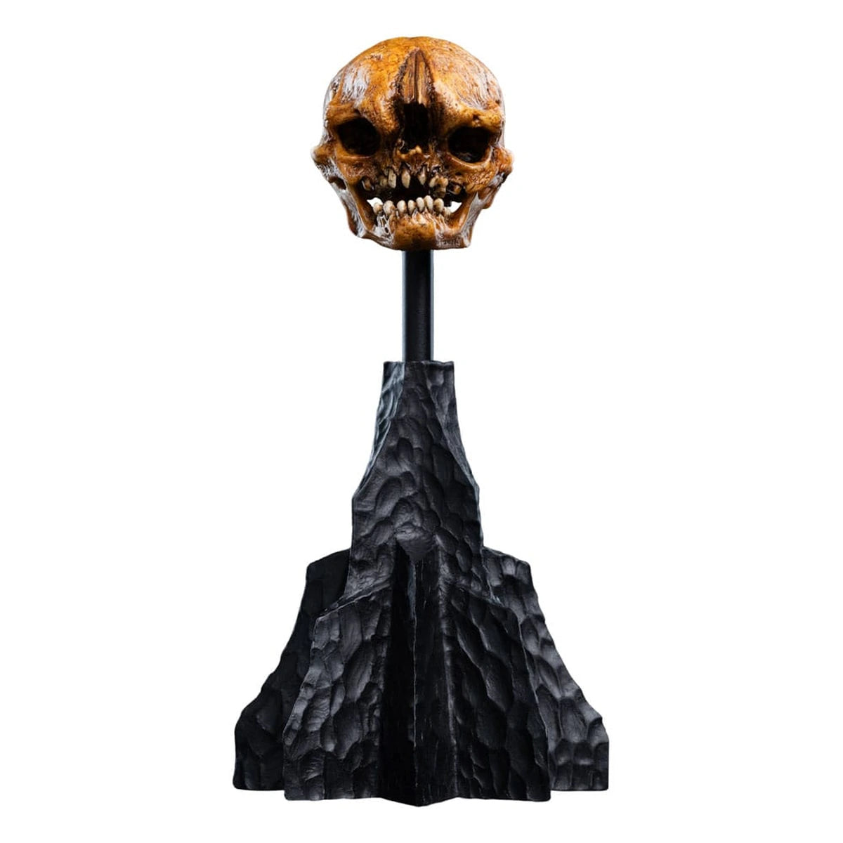 Le Seigneur des Anneaux statuette Skull of a Misty Mountain Goblin 14 cm - Image 3