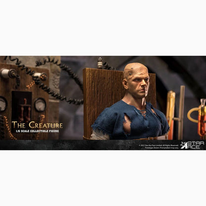 Les Horreurs de Frankenstein My Favourite Movie figurine 1/6 The Creature 30 cm - Image 2