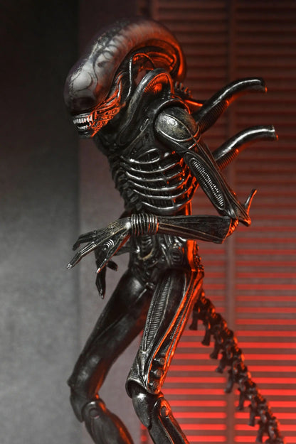 Alien Romulus figurine Ultimate Xenomorph XX121 18cm Neca