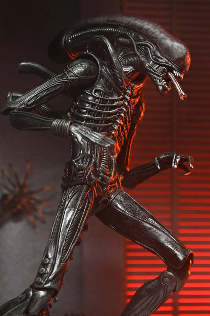Alien Romulus figurine Ultimate Xenomorph XX121 18cm Neca