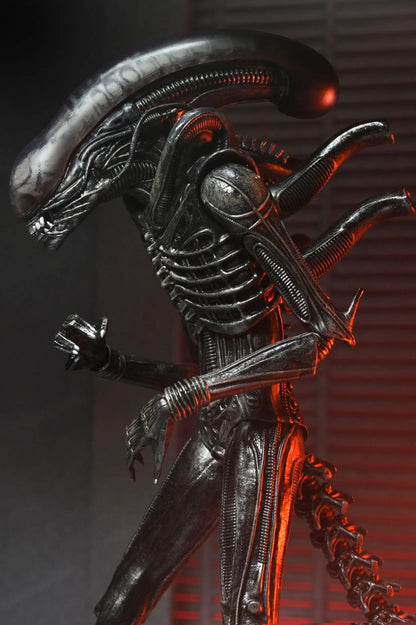Alien Romulus figurine Ultimate Xenomorph XX121 18cm Neca