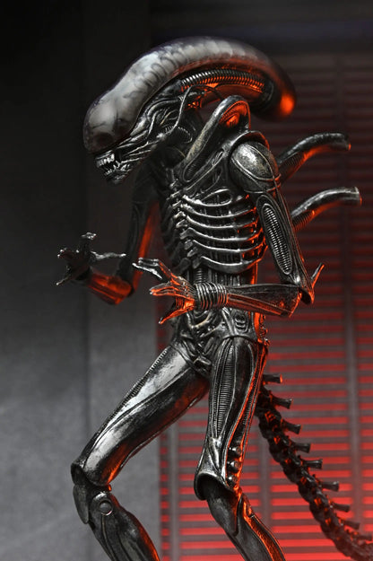 Alien Romulus figurine Ultimate Xenomorph XX121 18cm Neca