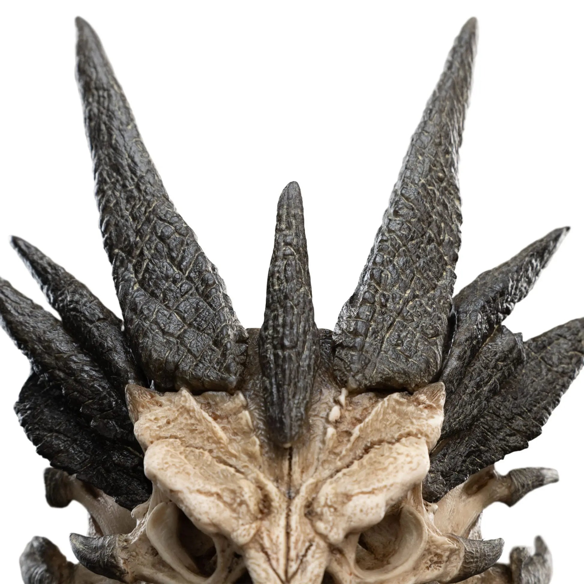 Le Seigneur des Anneaux statuette Skull of Smaug 22cm Weta Workshop