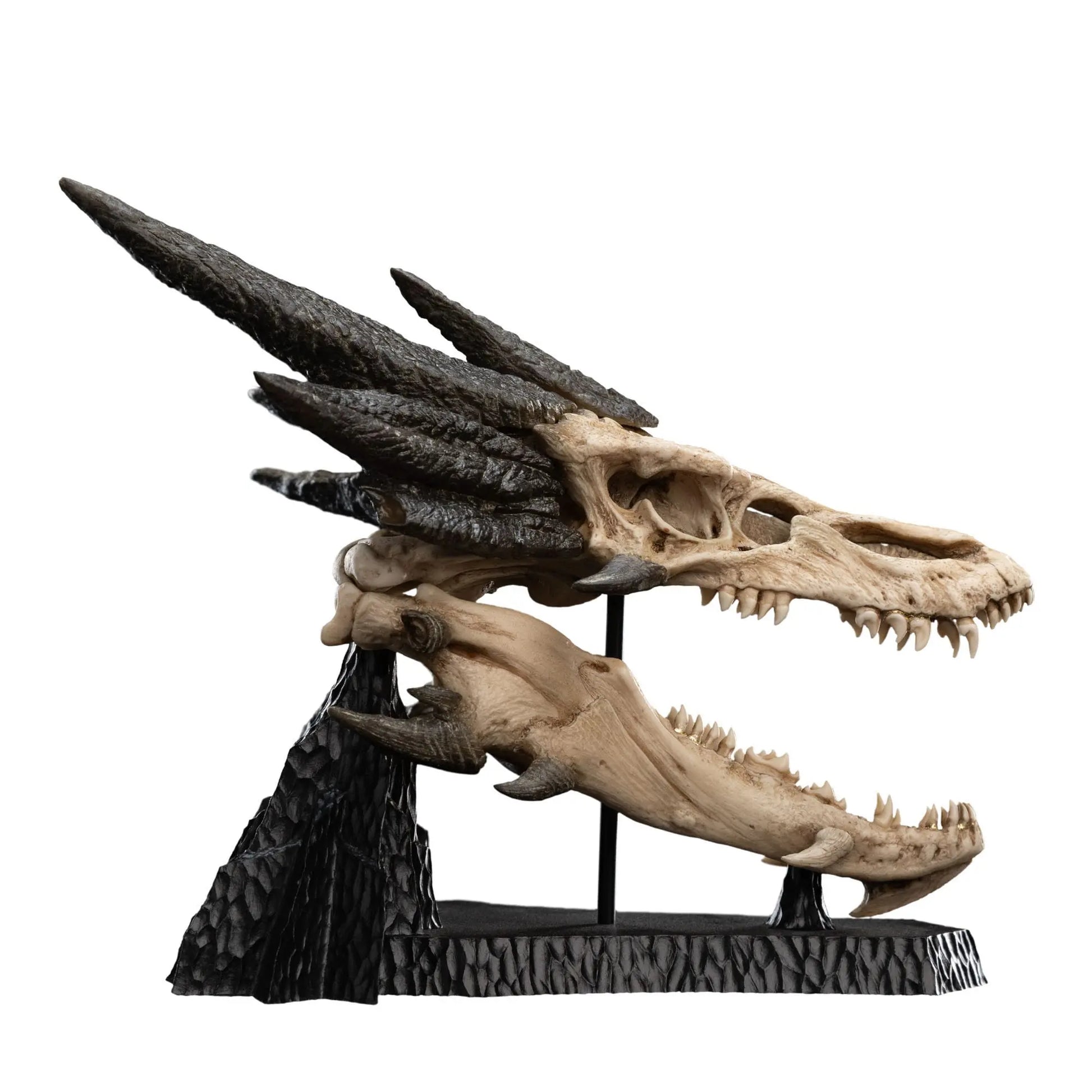 Le Seigneur des Anneaux statuette Skull of Smaug 22cm Weta Workshop
