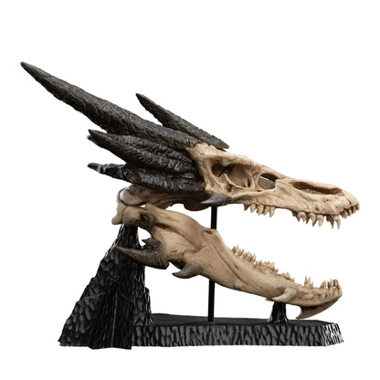 Le Seigneur des Anneaux statuette Skull of Smaug 22cm Weta Workshop
