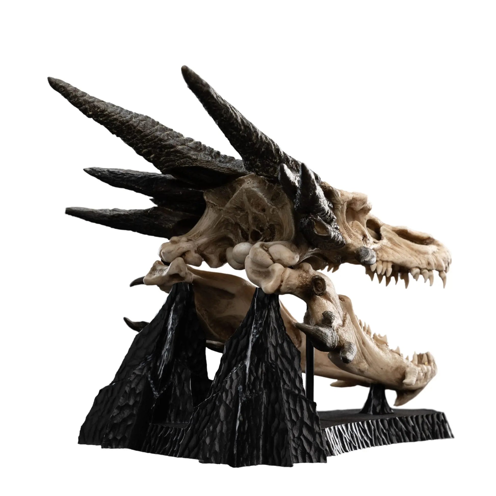 Le Seigneur des Anneaux statuette Skull of Smaug 22cm Weta Workshop
