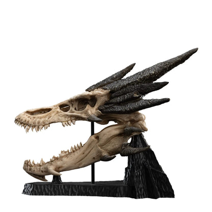 Le Seigneur des Anneaux statuette Skull of Smaug 22cm Weta Workshop