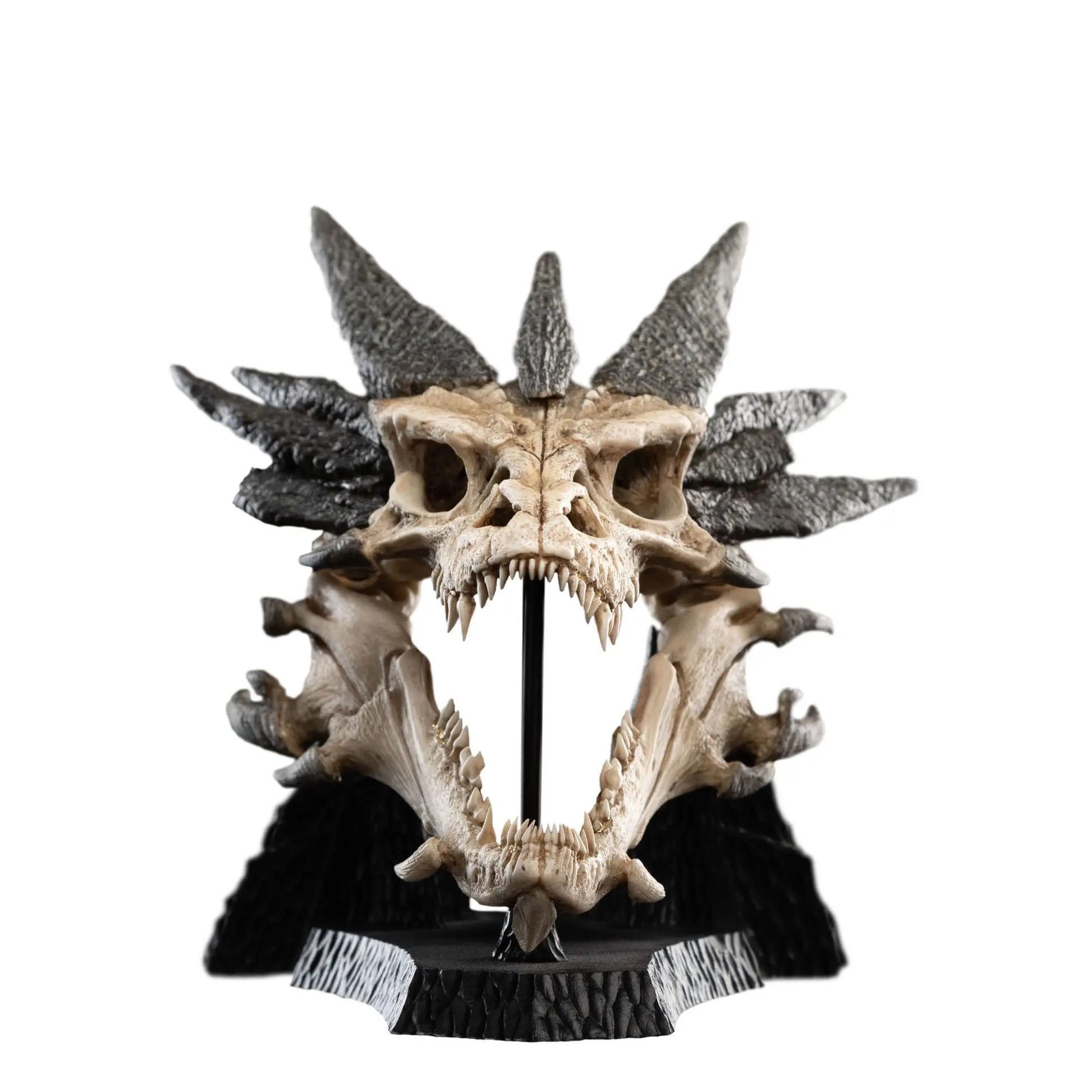 Le Seigneur des Anneaux statuette Skull of Smaug 22cm Weta Workshop