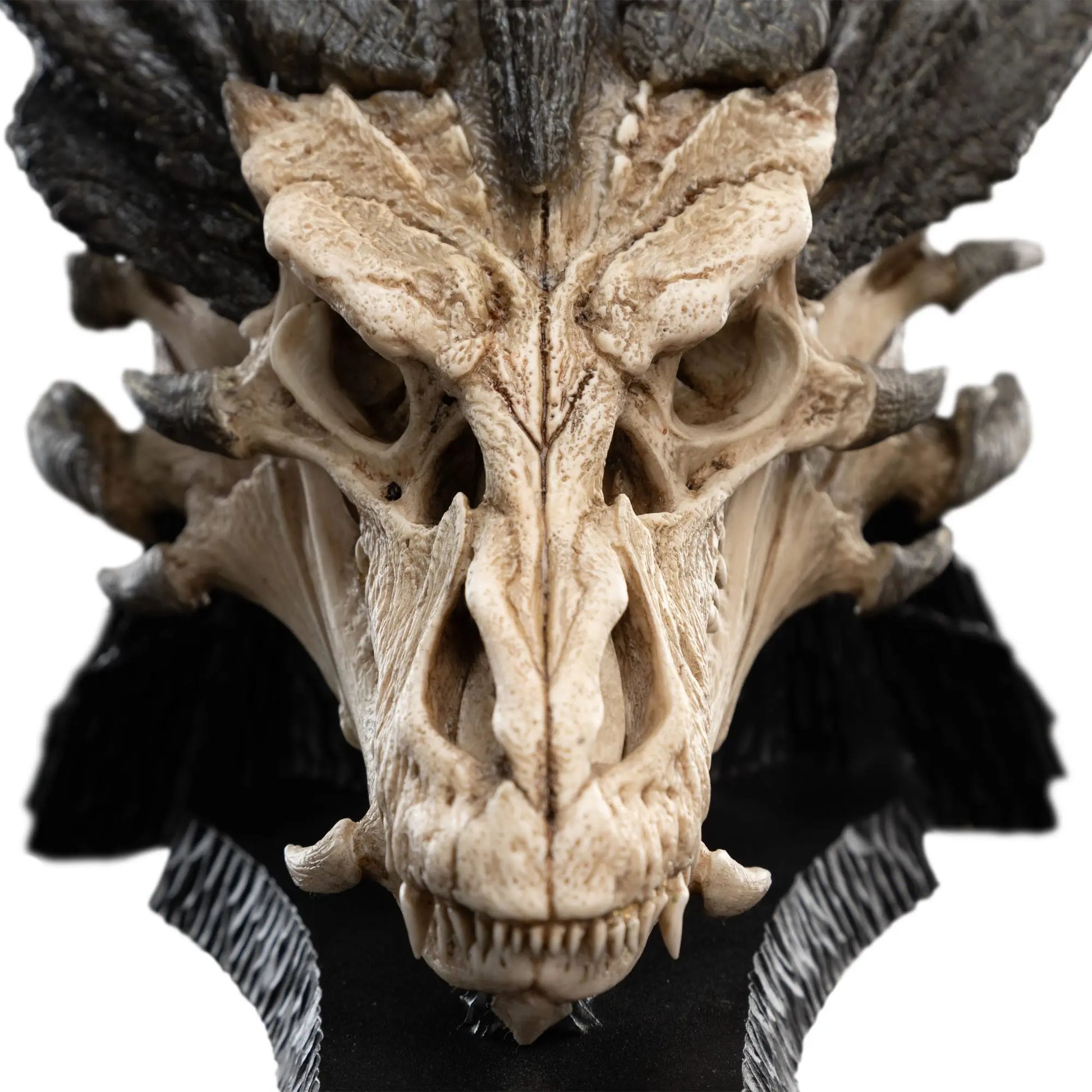 Le Seigneur des Anneaux statuette Skull of Smaug 22cm Weta Workshop