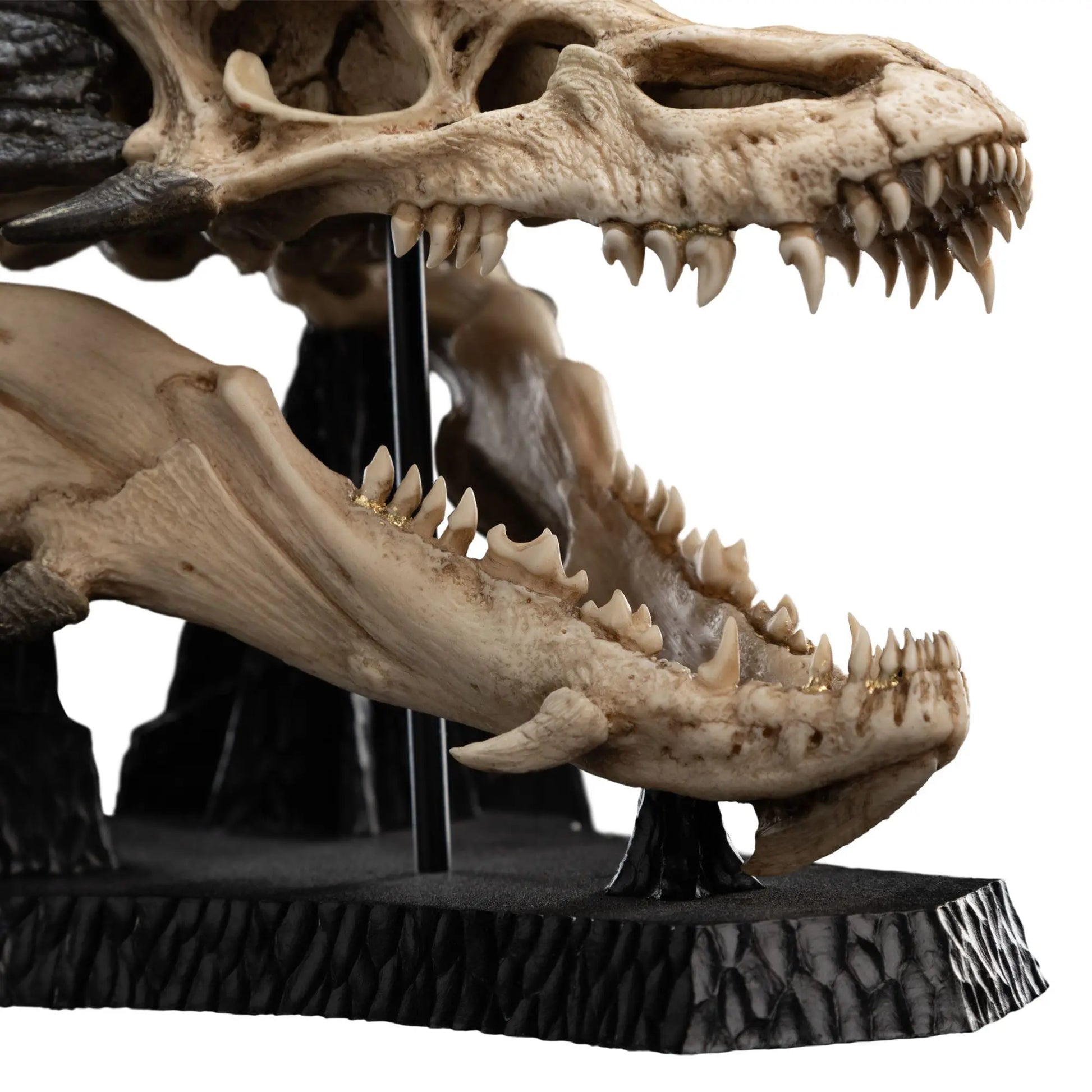 Le Seigneur des Anneaux statuette Skull of Smaug 22cm Weta Workshop
