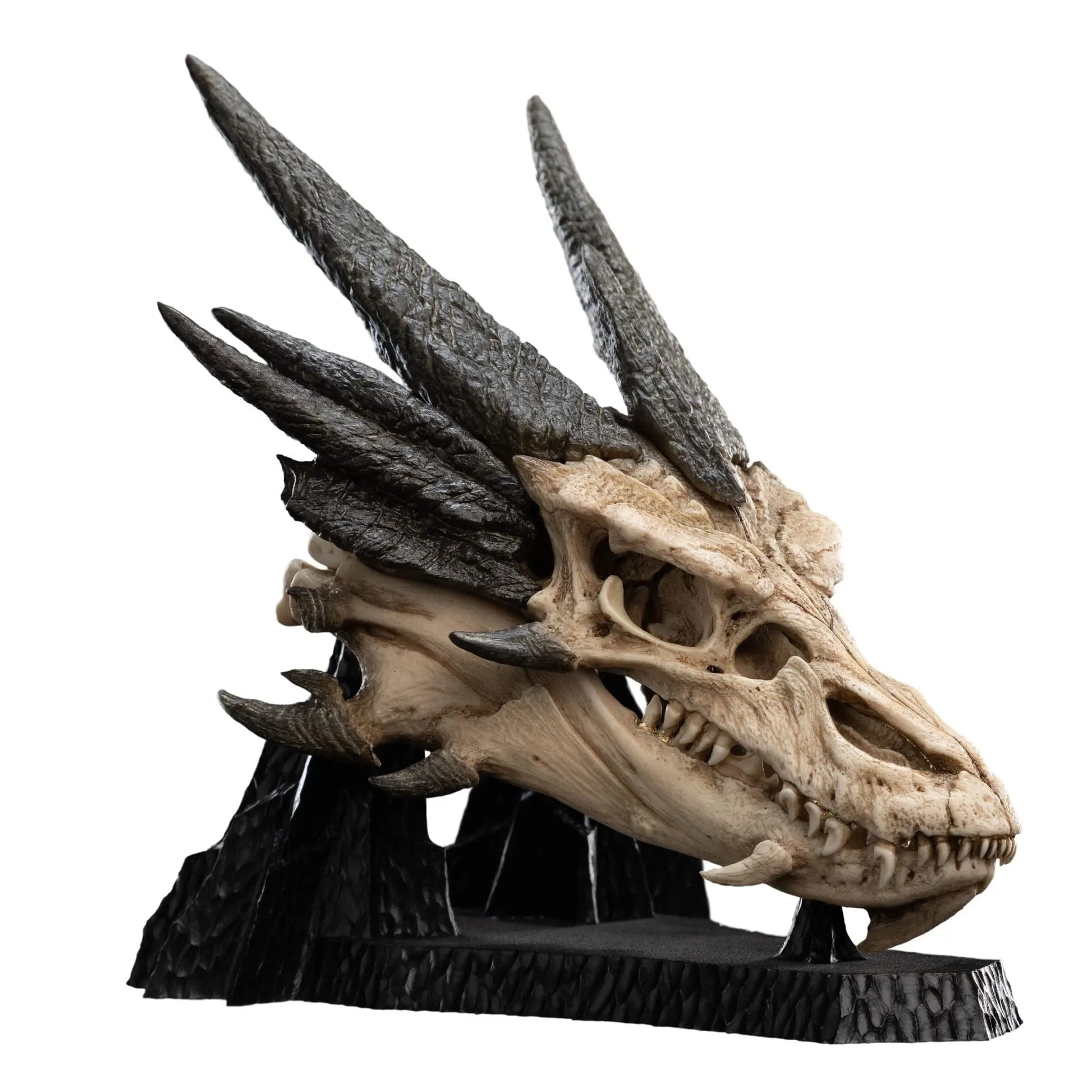 Le Seigneur des Anneaux statuette Skull of Smaug 22cm Weta Workshop