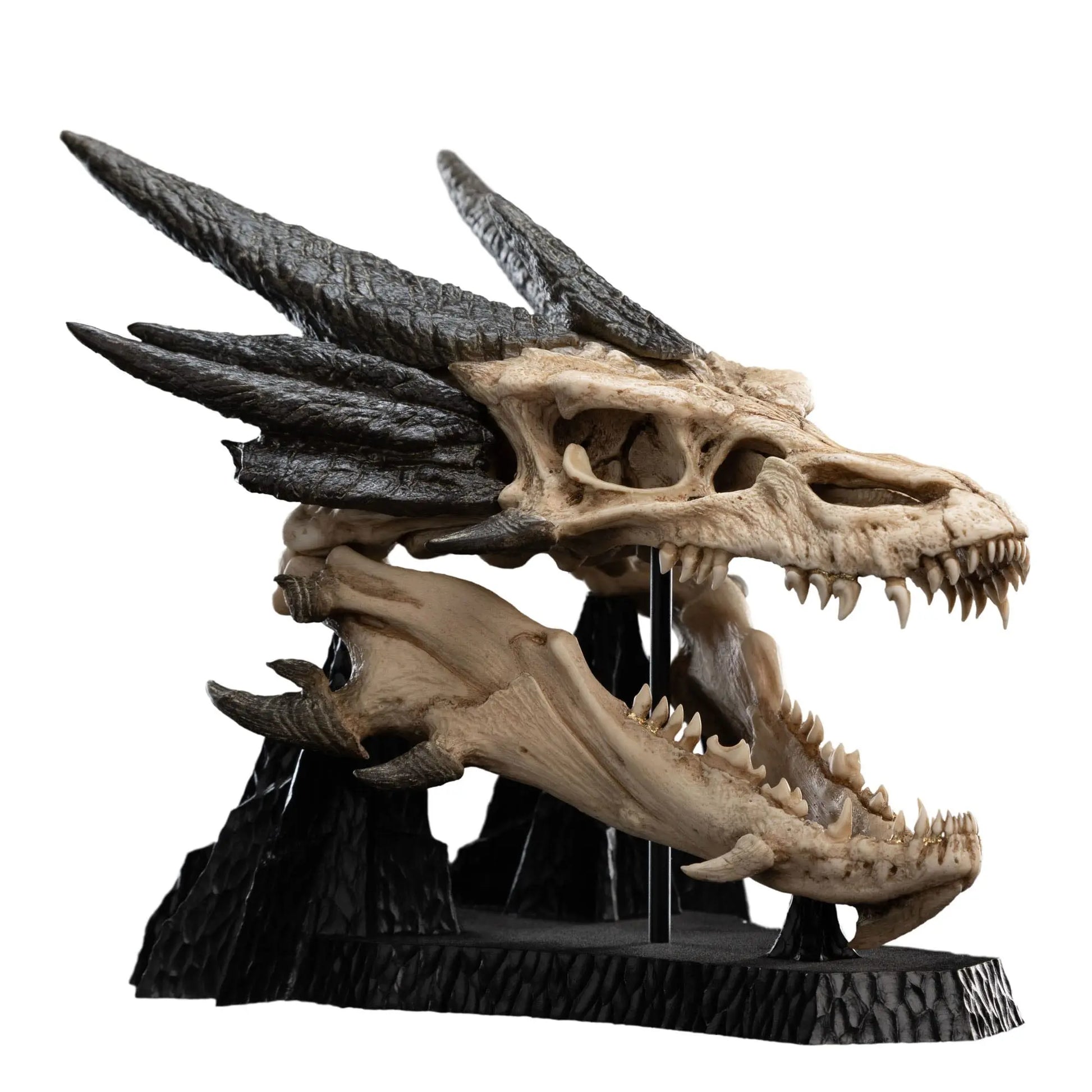 Le Seigneur des Anneaux statuette Skull of Smaug 22cm Weta Workshop
