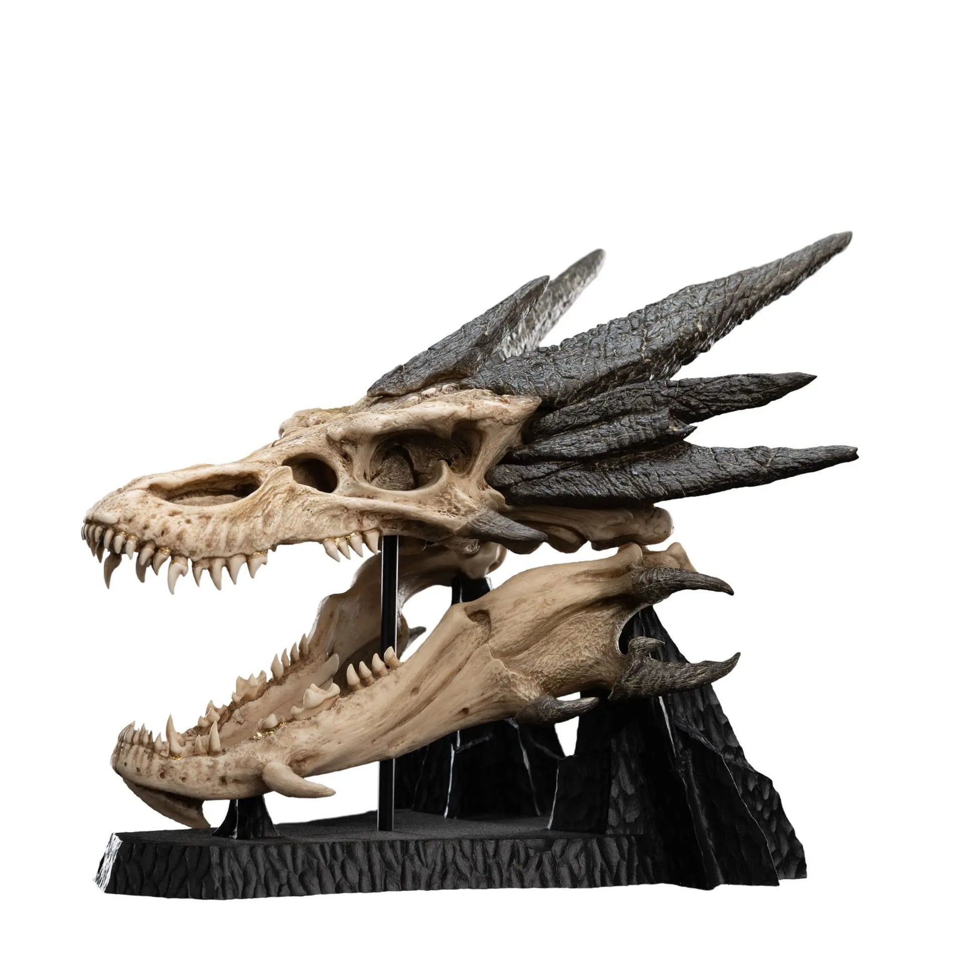 Le Seigneur des Anneaux statuette Skull of Smaug 22cm Weta Workshop