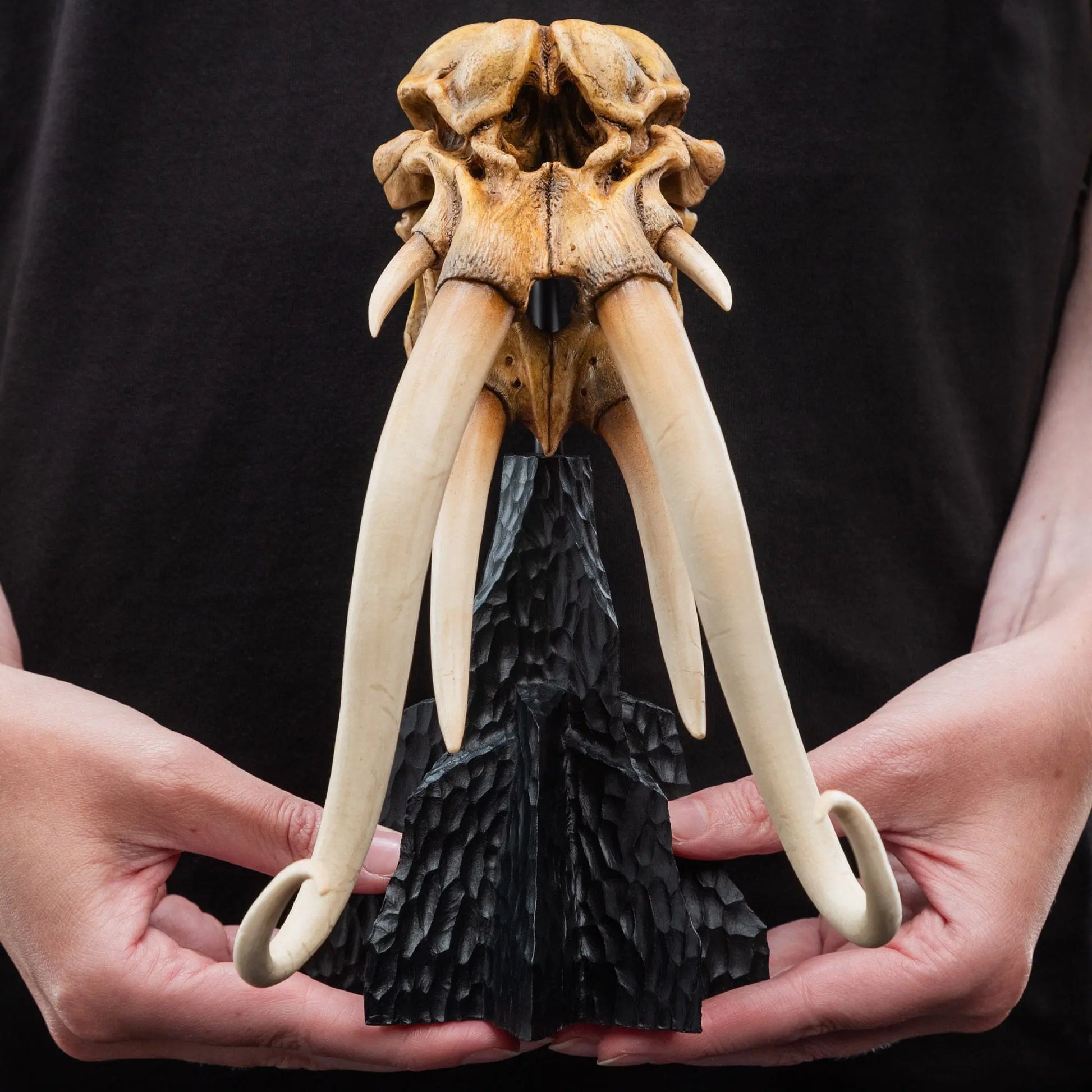 Le Seigneur des Anneaux skull of a Mumak  statuette 22cm Weta Workshop