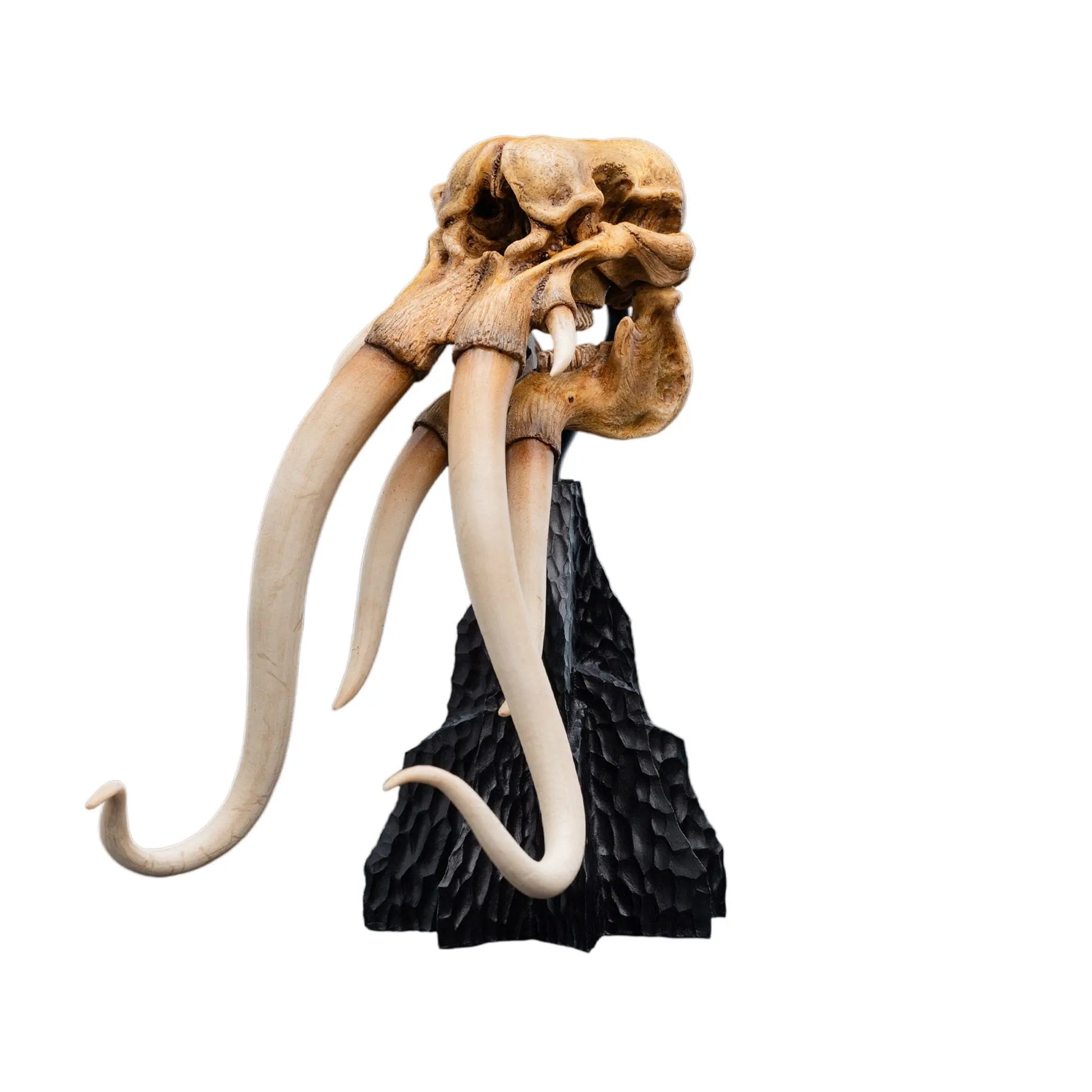Le Seigneur des Anneaux skull of a Mumak  statuette 22cm Weta Workshop