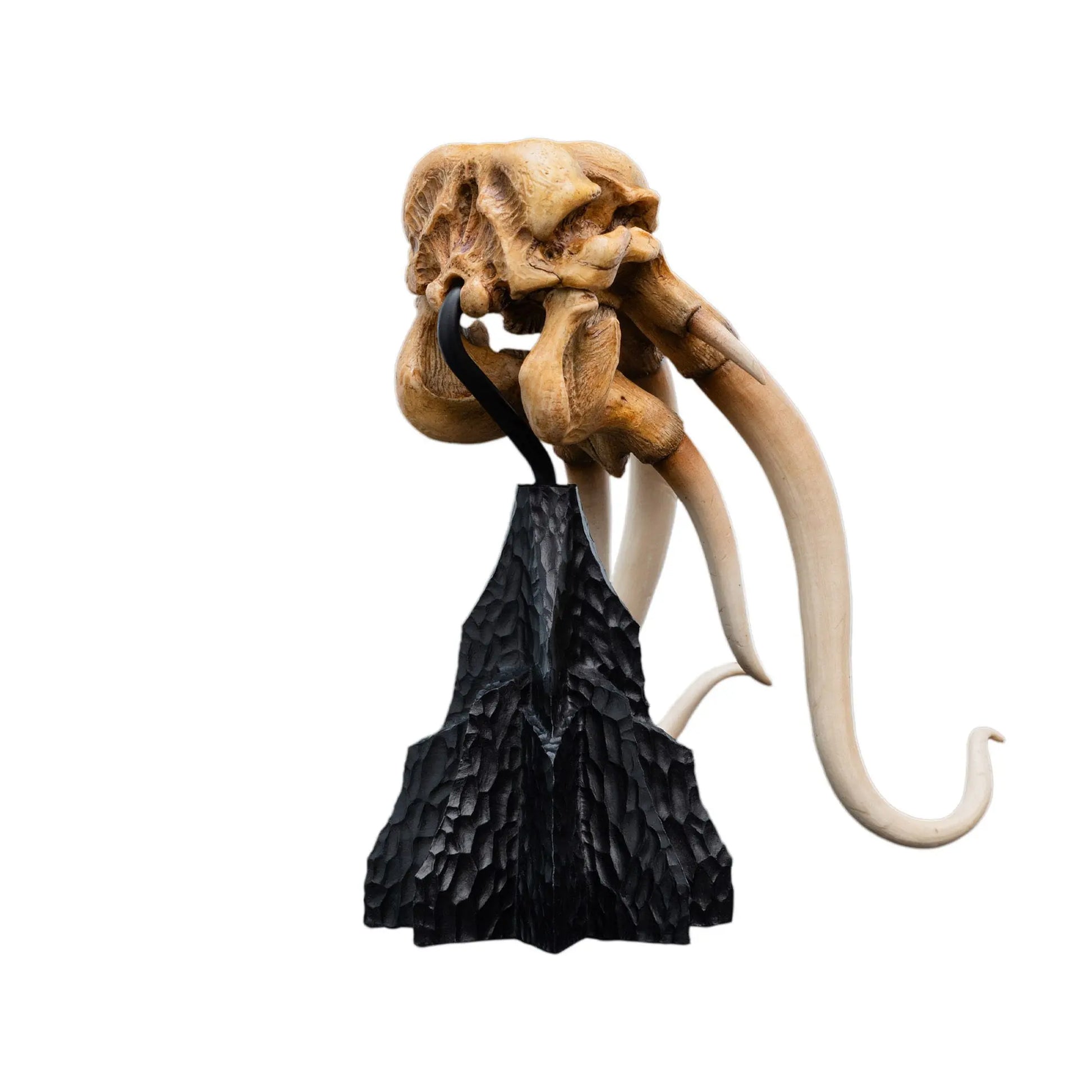 Le Seigneur des Anneaux skull of a Mumak  statuette 22cm Weta Workshop
