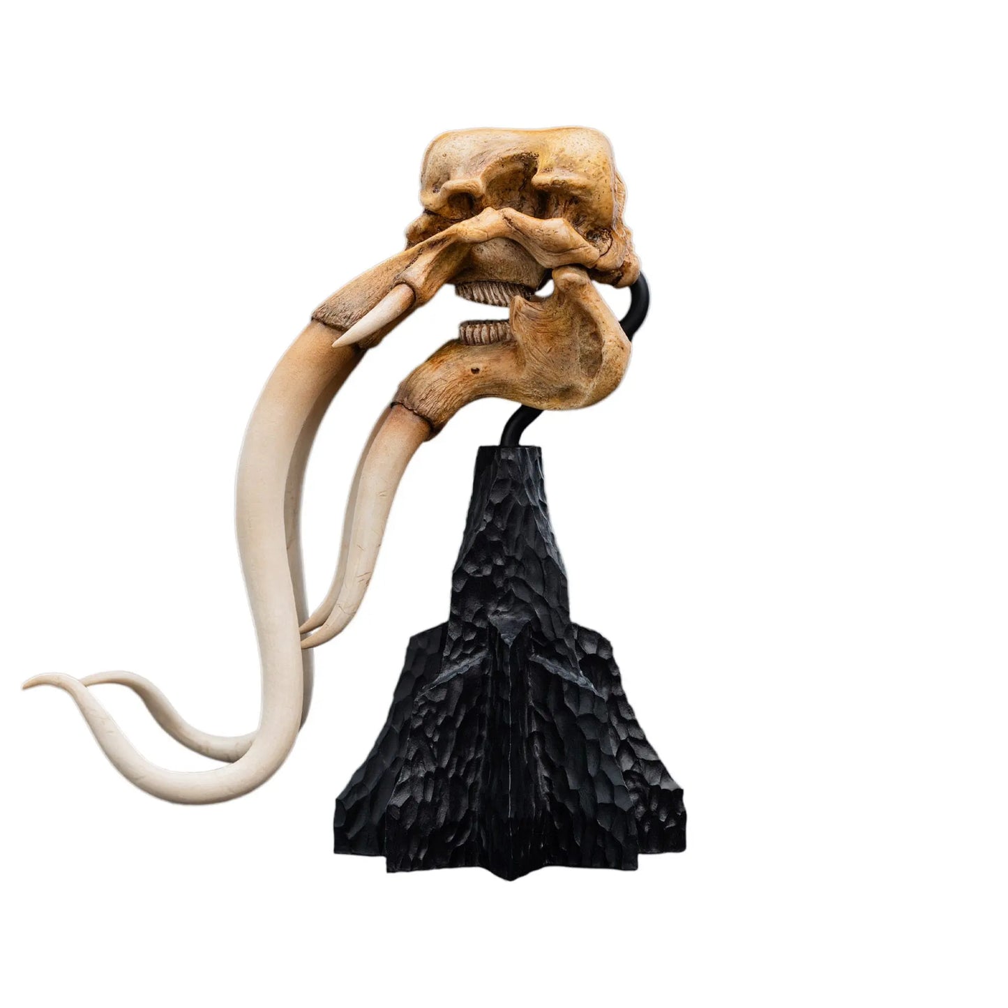 Le Seigneur des Anneaux skull of a Mumak  statuette 22cm Weta Workshop