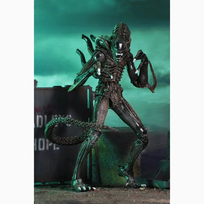 Aliens Ultimate figurine Warrior (1986) Brown 23 cm - Image 7
