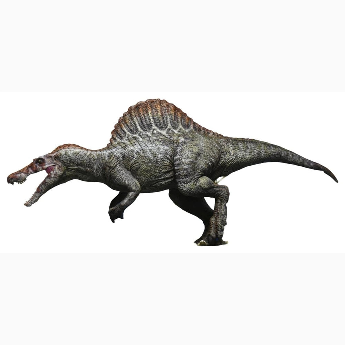 Jurassic Park III Plastic Model Kit 1/35 Spinosaurus 19 cm (Reproduction) - Image 1