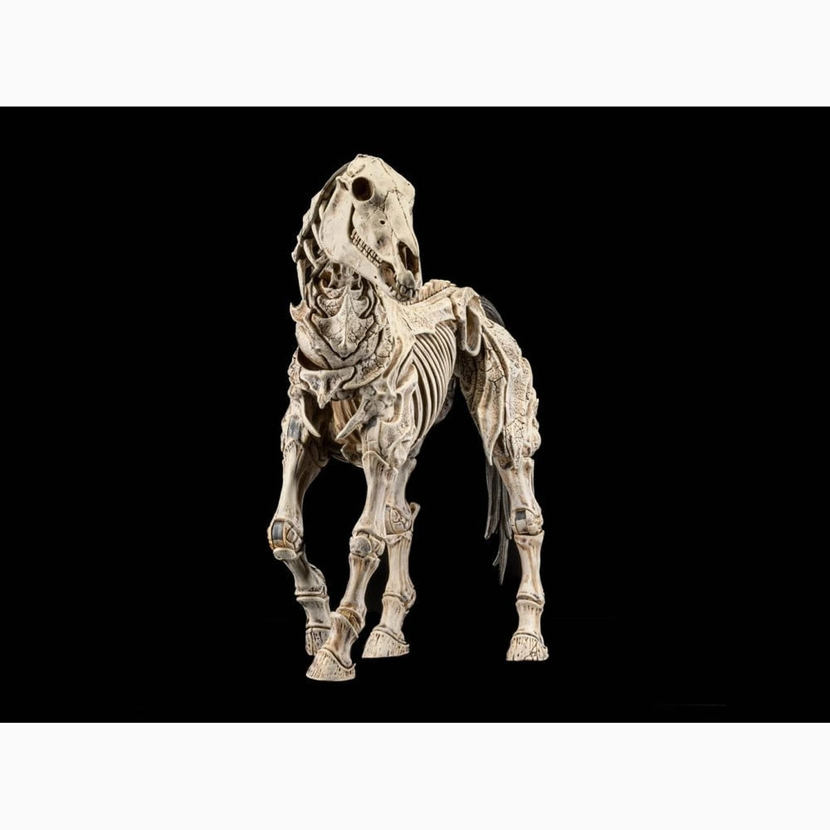 Mythic Legions: Reinforcement 3 figurine Skeleton Steed Legion Builder - Image 5