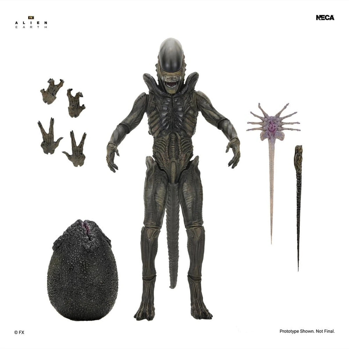 Alien: Earth Ultimate figurine Xenomorph 18 cm - Image 3