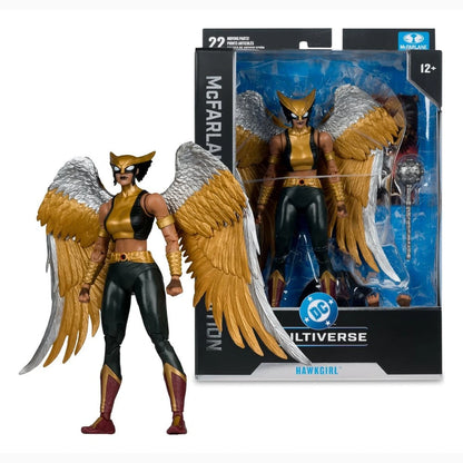 DC Multiverse McFarlane Collector Edition figurine Hawkgirl (Kendra Saunders) 28 cm - Image 6