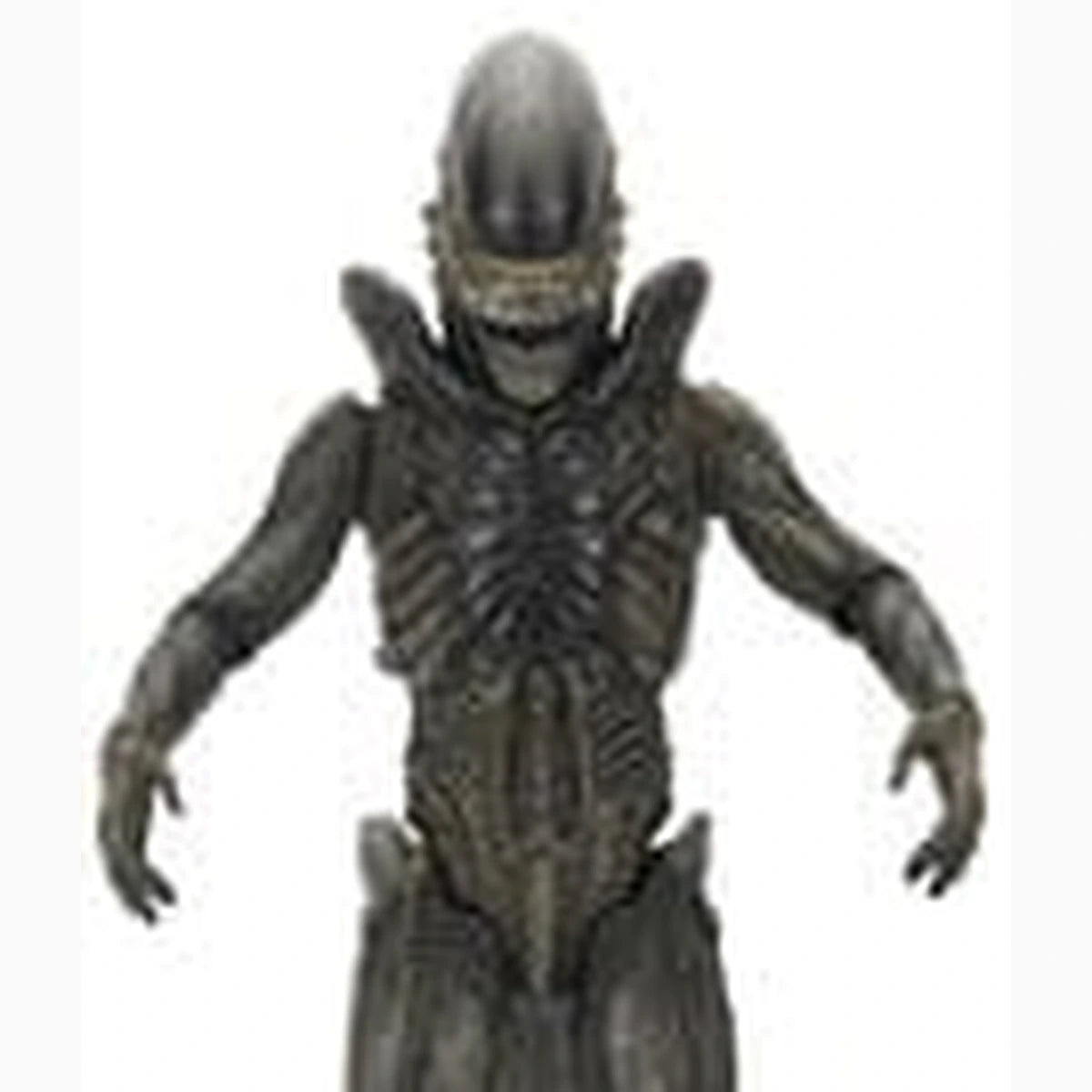 Alien: Earth Ultimate figurine Xenomorph 18 cm - Image 2