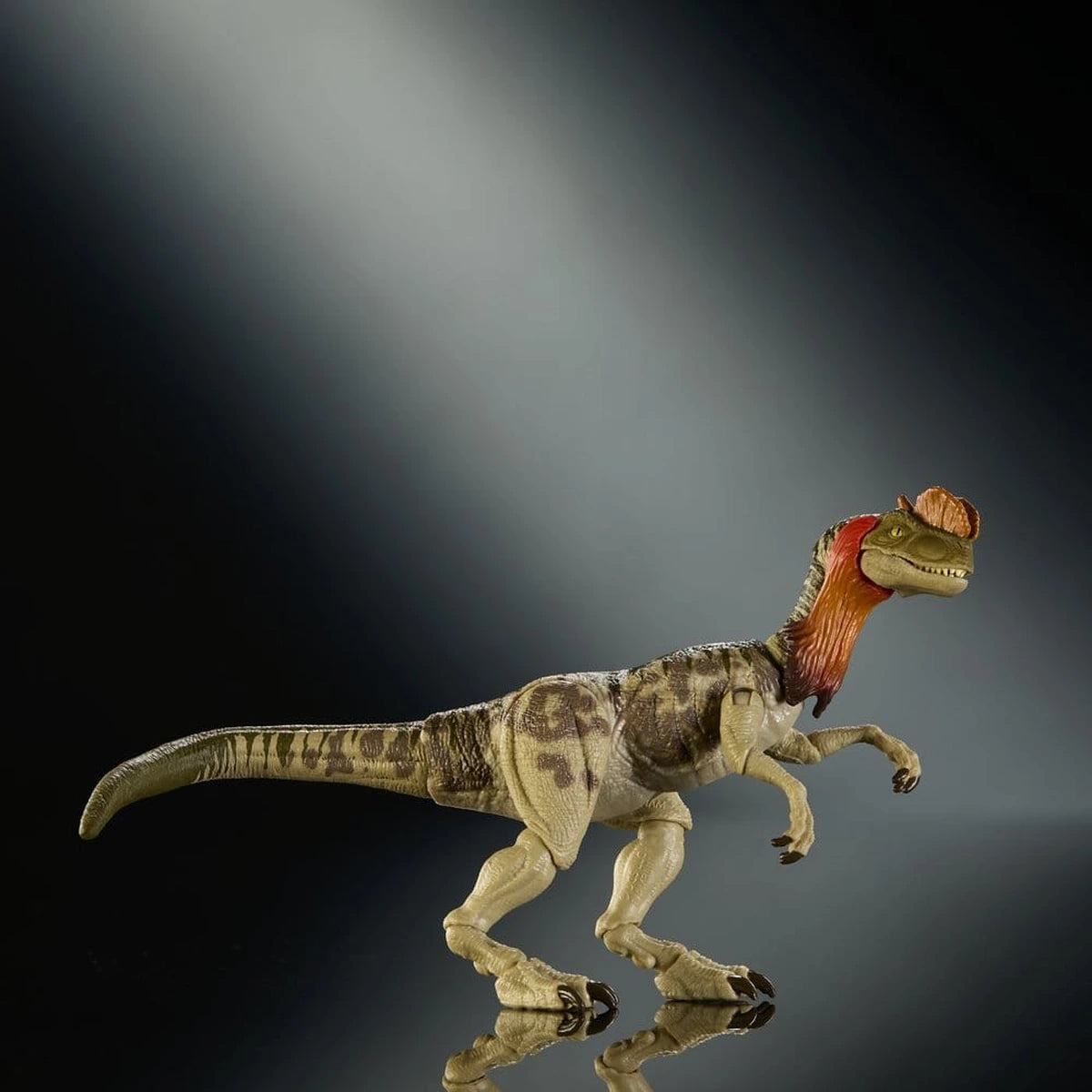 Jurassic World : Renaissance Hammond Collection figurine Dilophosaurus - Image 7