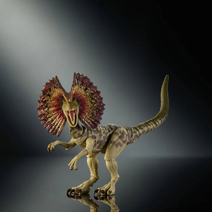 Jurassic World : Renaissance Hammond Collection figurine Dilophosaurus - Image 6