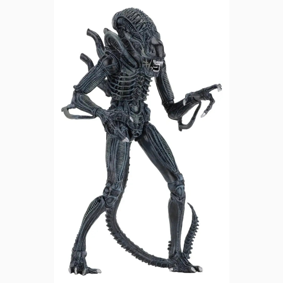Aliens Ultimate figurine Warrior (1986) Blue 23 cm - Image 7