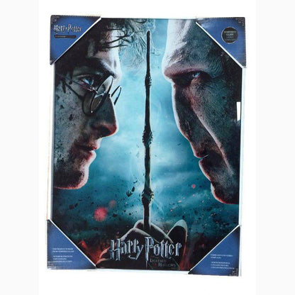 Harry Potter Affiche en verre Harry & Voldemort 30 x 40 cm - Image 1