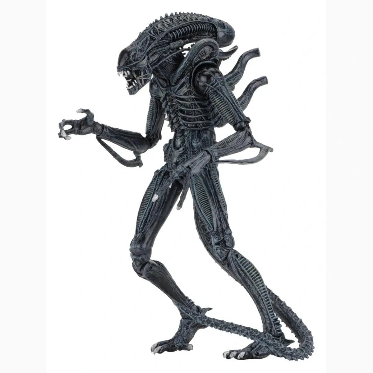 Aliens Ultimate figurine Warrior (1986) Blue 23 cm - Image 6