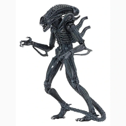 Aliens Ultimate figurine Warrior (1986) Blue 23 cm - Image 6