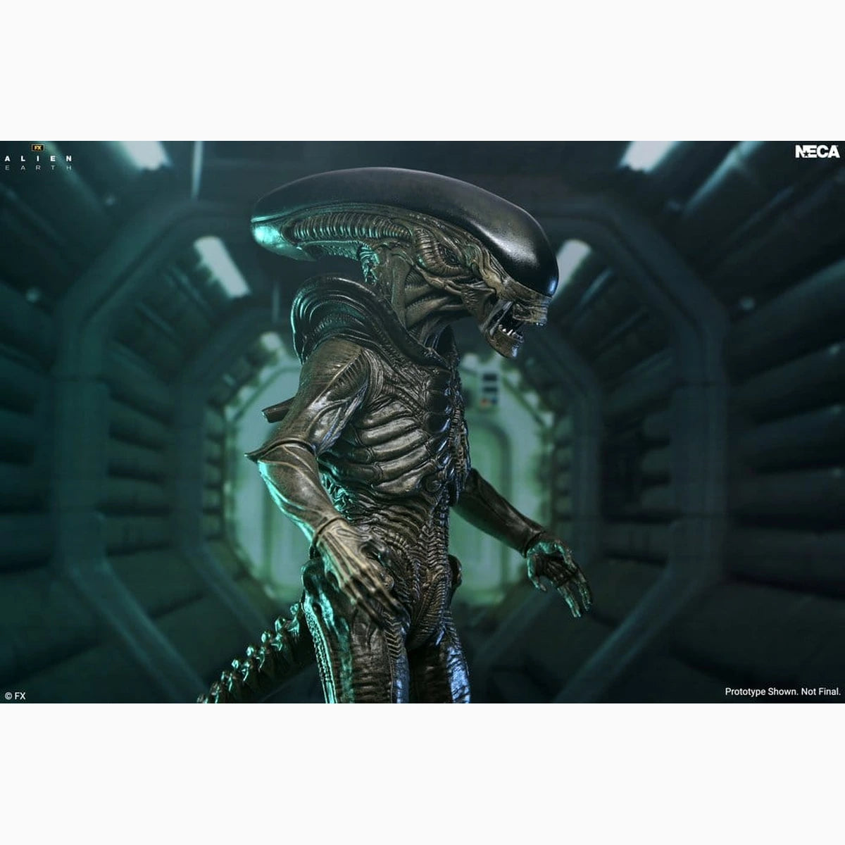 Alien: Earth Ultimate figurine Xenomorph 18 cm - Image 5