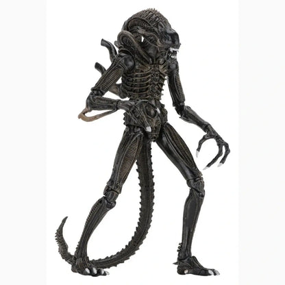 Aliens Ultimate figurine Warrior (1986) Brown 23 cm - Image 4