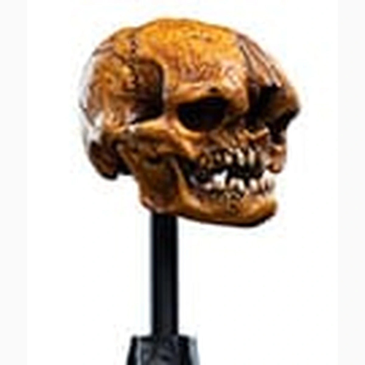 Le Seigneur des Anneaux statuette Skull of a Misty Mountain Goblin 14 cm - Image 2