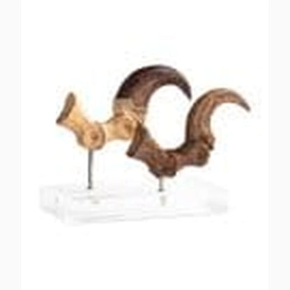 Jurassic Park  ECC Elite Creature Line statuette Velociraptor Foot Claw and Fossil Claw Set 20 cm - Image 2