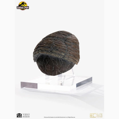 Jurassic Park 1/1 réplique Triceratops Toenail 16 cm - Image 1