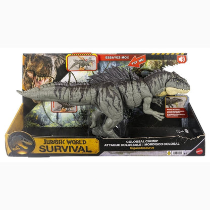 Jurassic World: Survival figurine Colossal Chomp Giganotosaurus 71 cm - Image 6