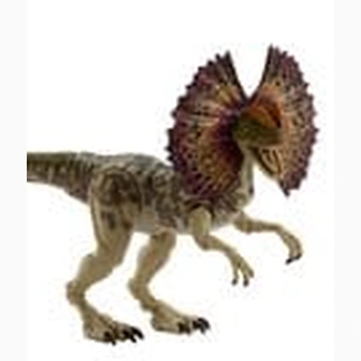 Jurassic World : Renaissance Hammond Collection figurine Dilophosaurus - Image 2