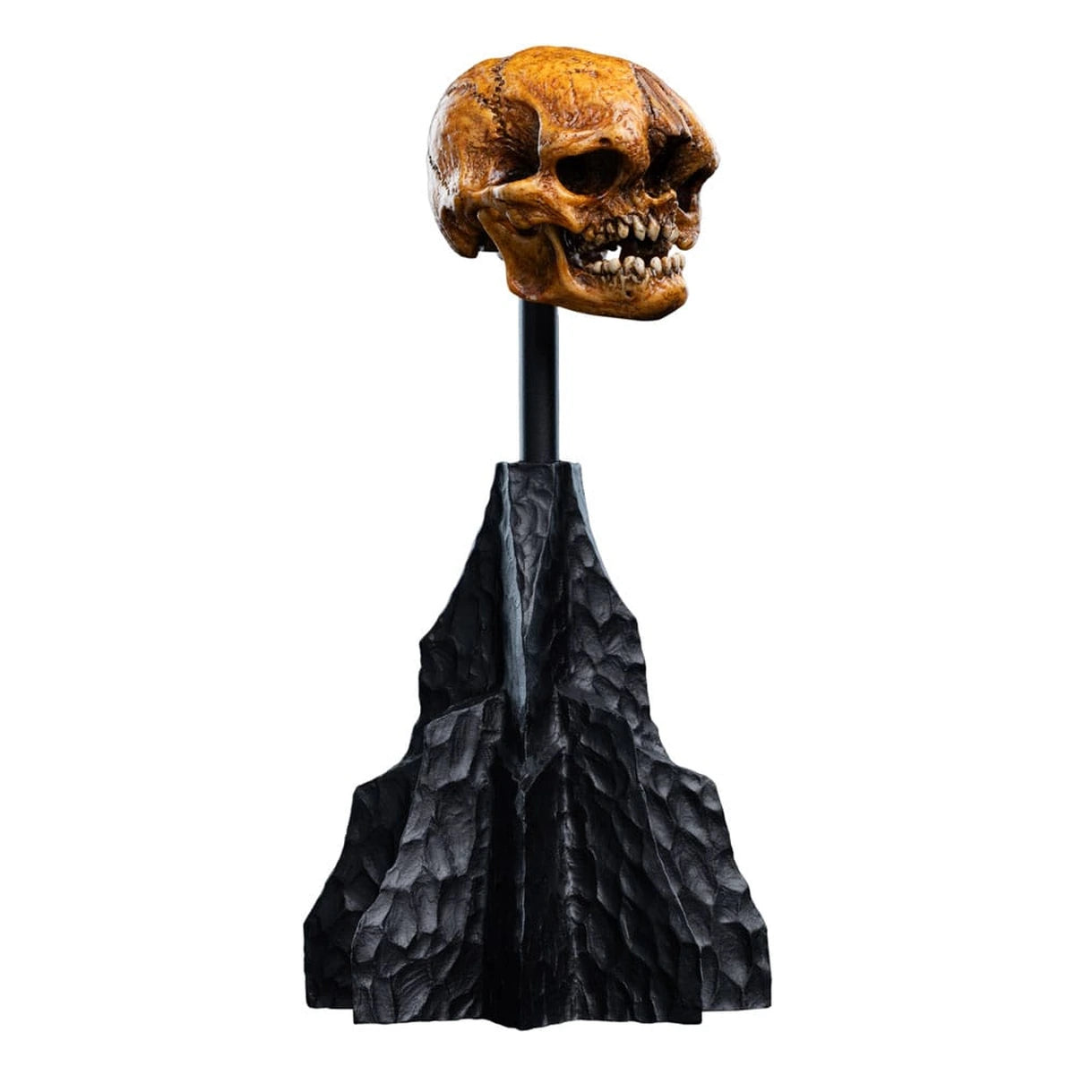 Le Seigneur des Anneaux statuette Skull of a Misty Mountain Goblin 14 cm - Image 1