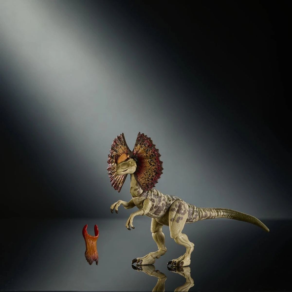 Jurassic World : Renaissance Hammond Collection figurine Dilophosaurus - Image 5