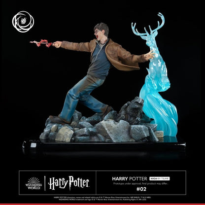Harry Potter figurine 1/6 IKIGAI 30 cm - Image 5