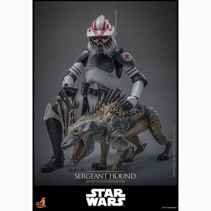 Star Wars: The Clone Wars figurine 1/6 Sergeant Hound 30 cm - Image 6
